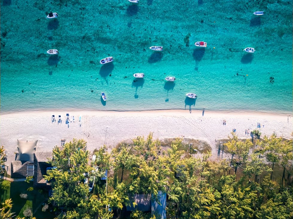 The Fox Travellers Traveler Reviews